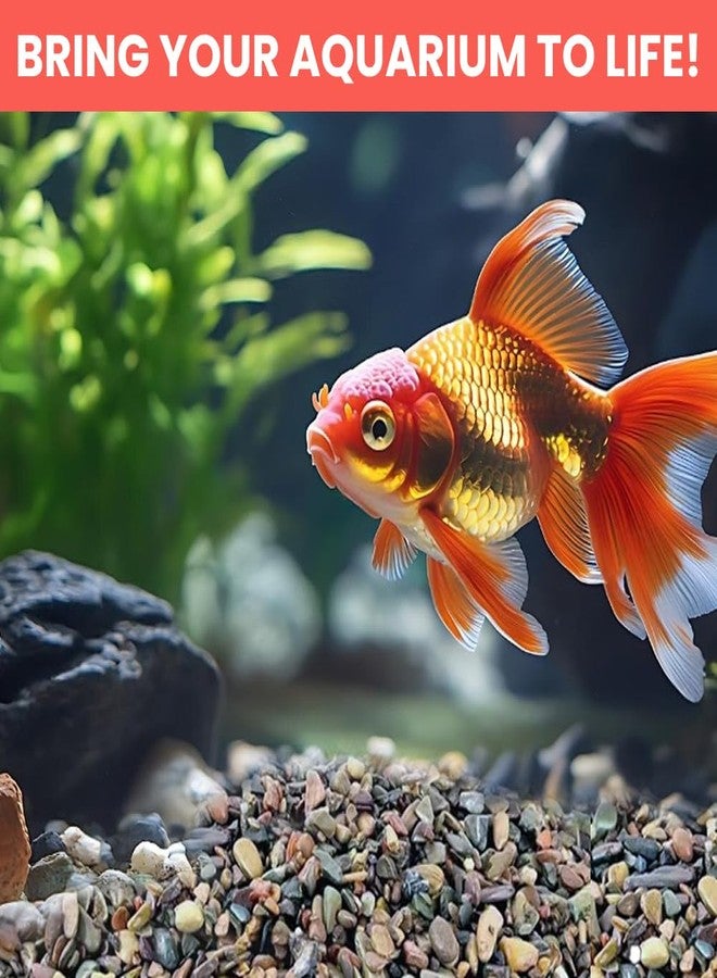 VAYINATO Flat River Stream Stone Rio Xingu - Natural Aquarium Gravel Pebbles for Aquascaping, Terrariums, and Home Decor | Natural, River, Pebbles (3 Kg) - Image 4